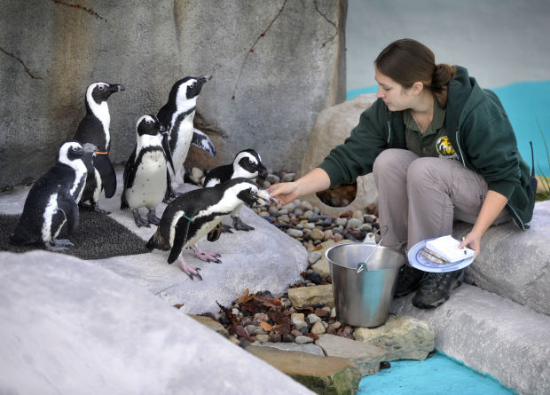 Racine Zoo